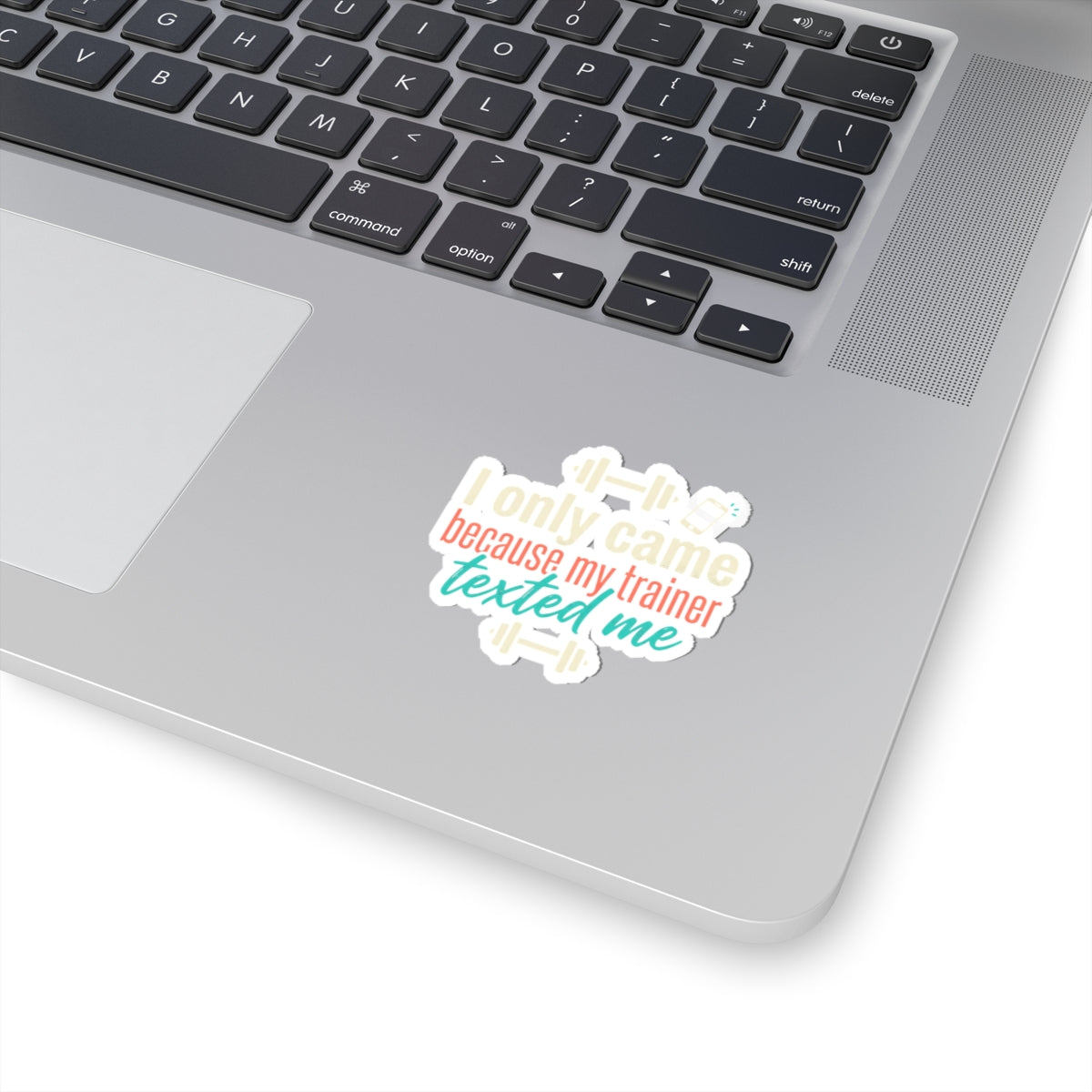 I Only Came Because My Trainer Texted Me Kiss-Cut Stickers