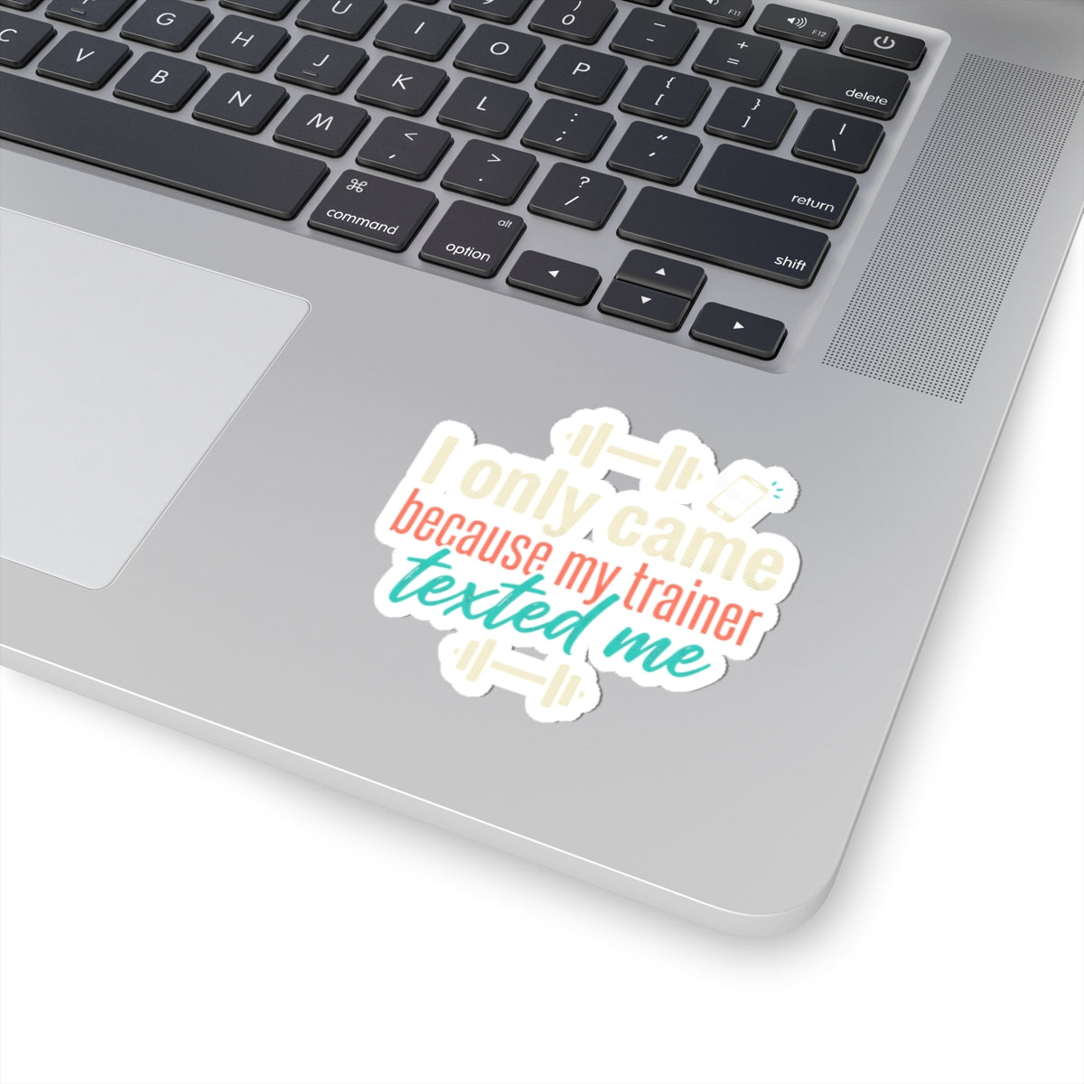 I Only Came Because My Trainer Texted Me Kiss-Cut Stickers